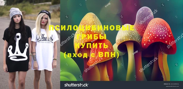 твердый Лиски
