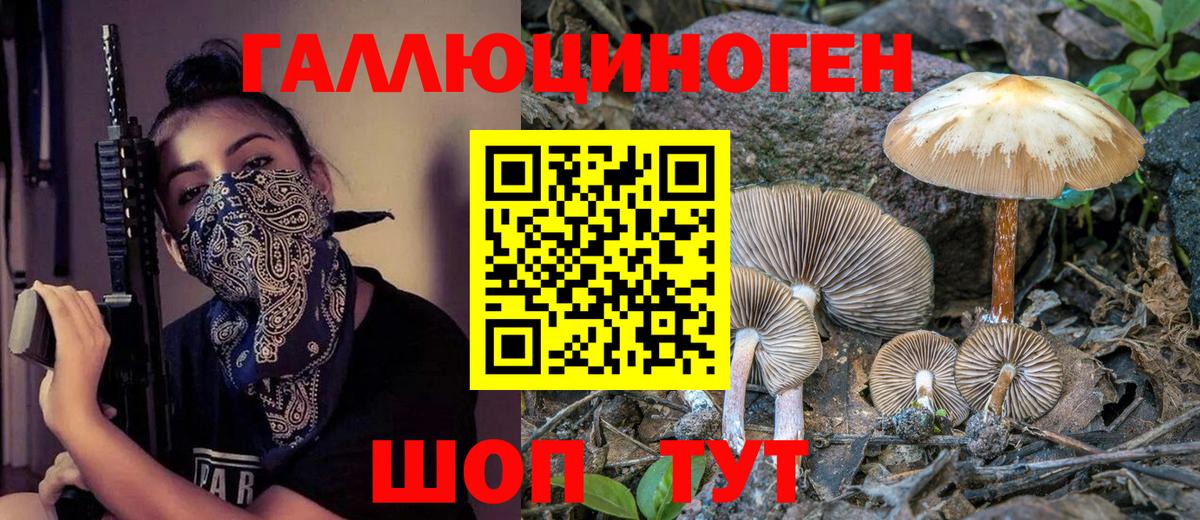 Галлюциногенные грибы Psilocybe  Вход с VPN  Волгодонск 